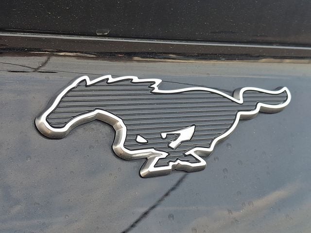 2021 Ford Mustang Mach-E California Route 1