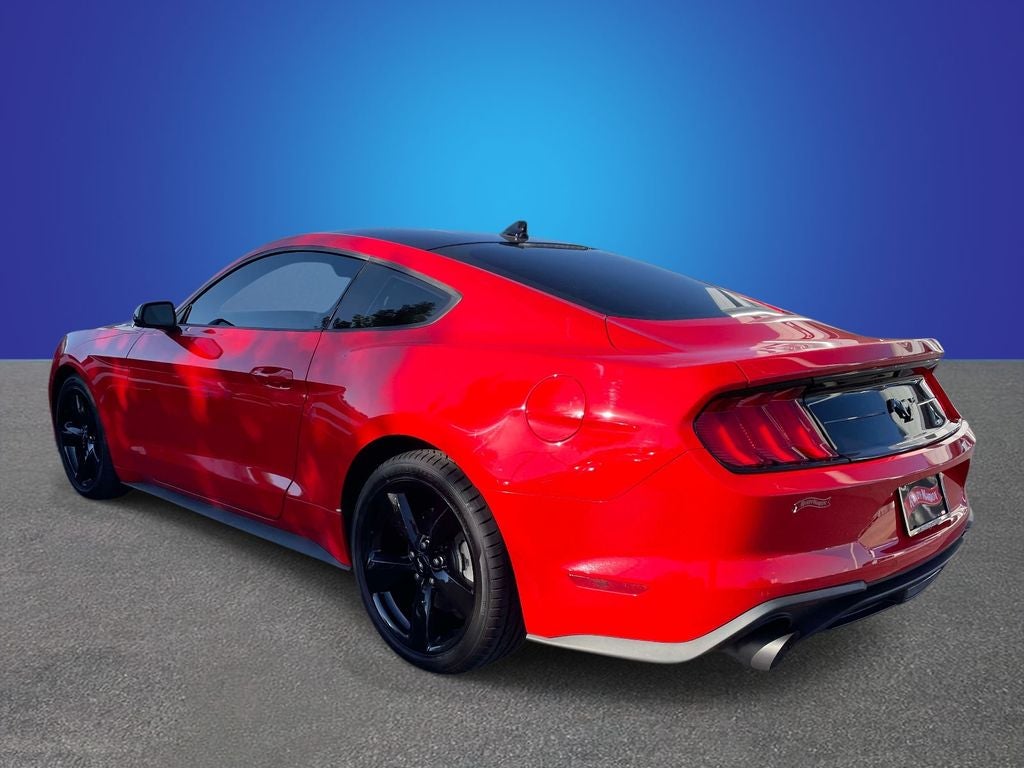 2023 Ford Mustang EcoBoost