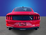 2023 Ford Mustang EcoBoost
