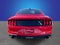 2023 Ford Mustang EcoBoost