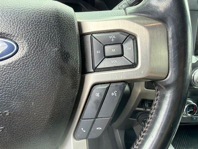2021 Ford Super Duty F-250 Pickup Platinum